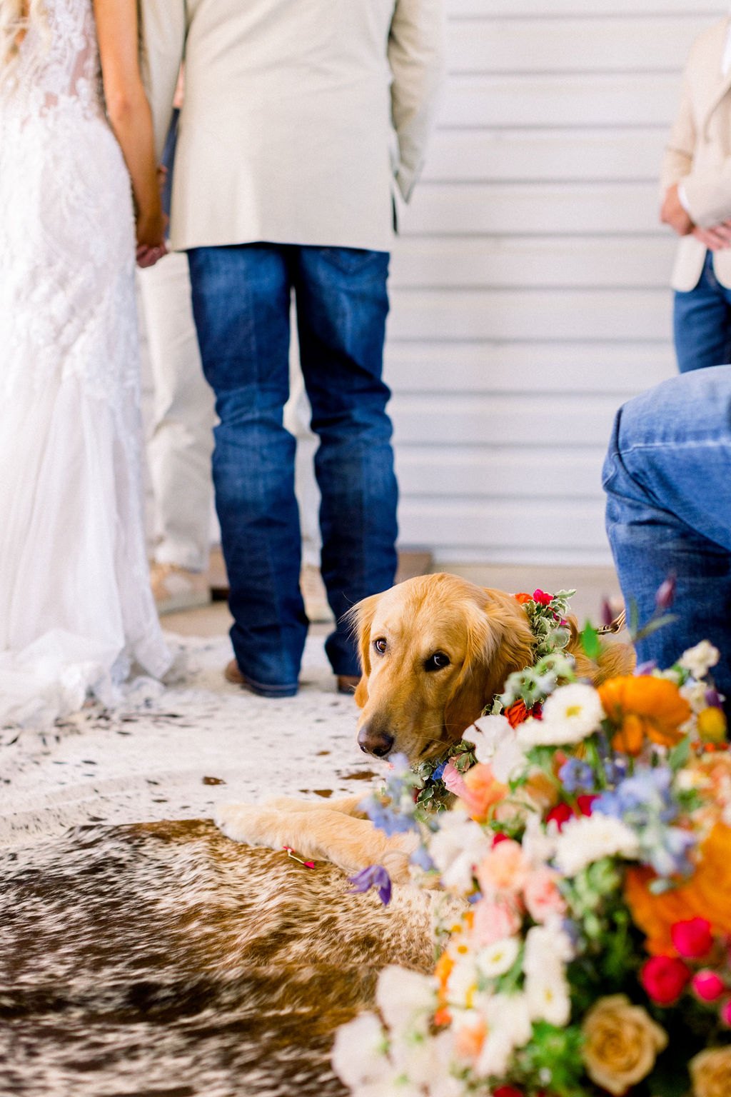 The Bezio Wedding at Diamond H3 Ranch, photo 10